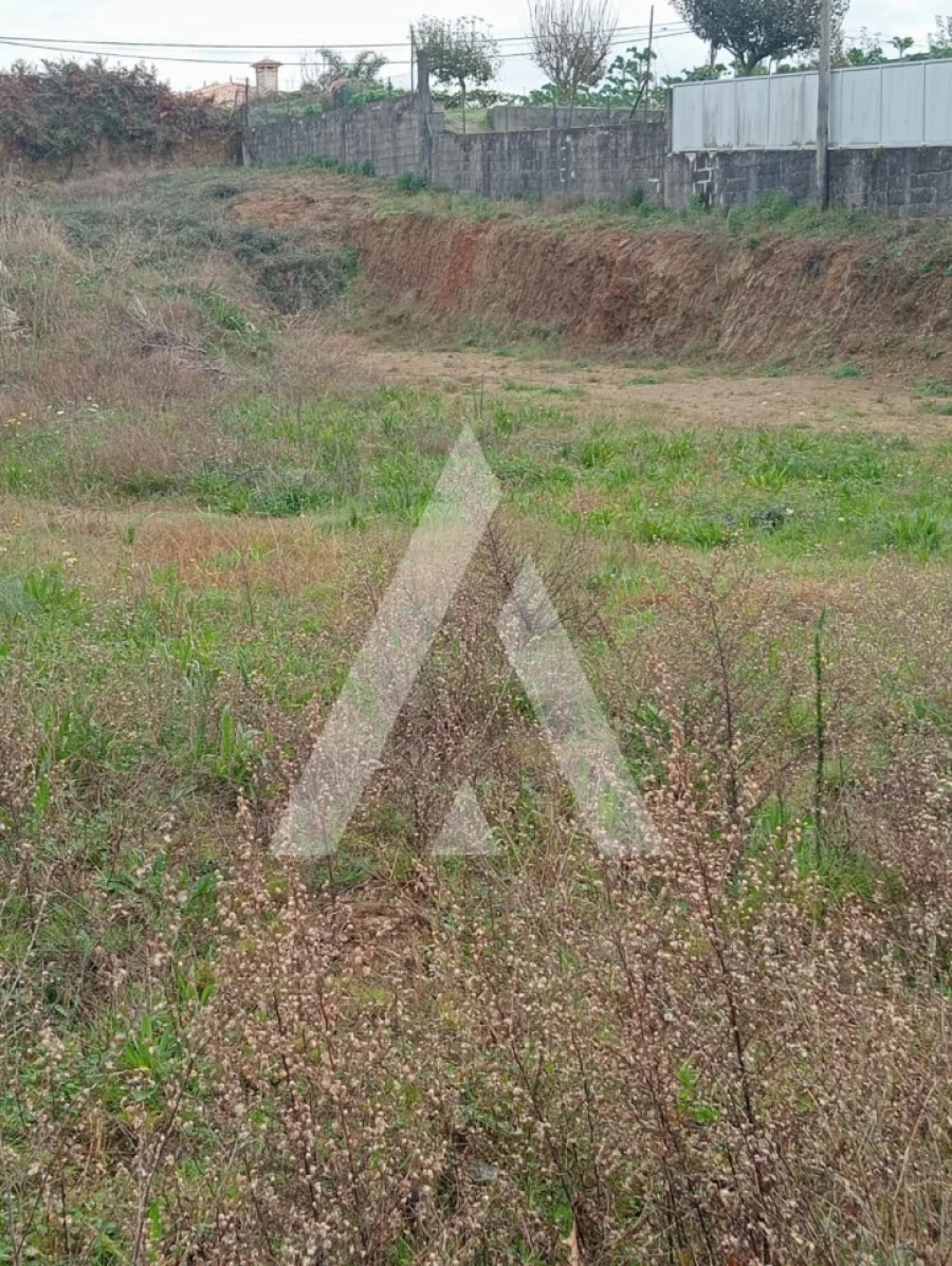 Terreno para Venda em Ardegão, Freixo e Mato