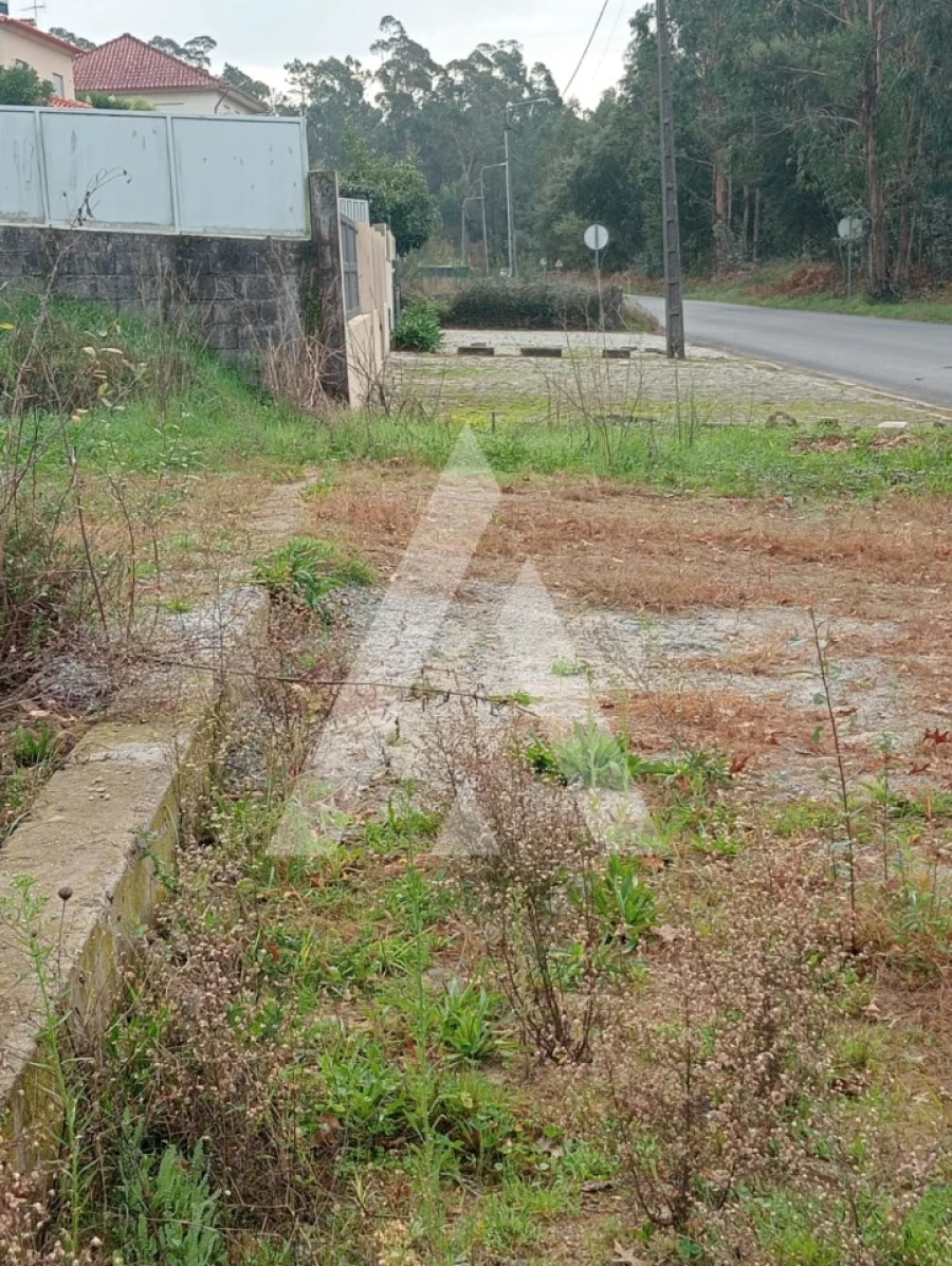 Terreno para Venda em Ardegão, Freixo e Mato Foto 6