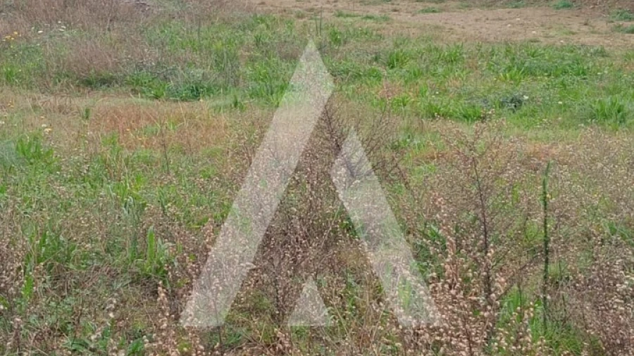 Terreno para Venda em Ardegão, Freixo e Mato