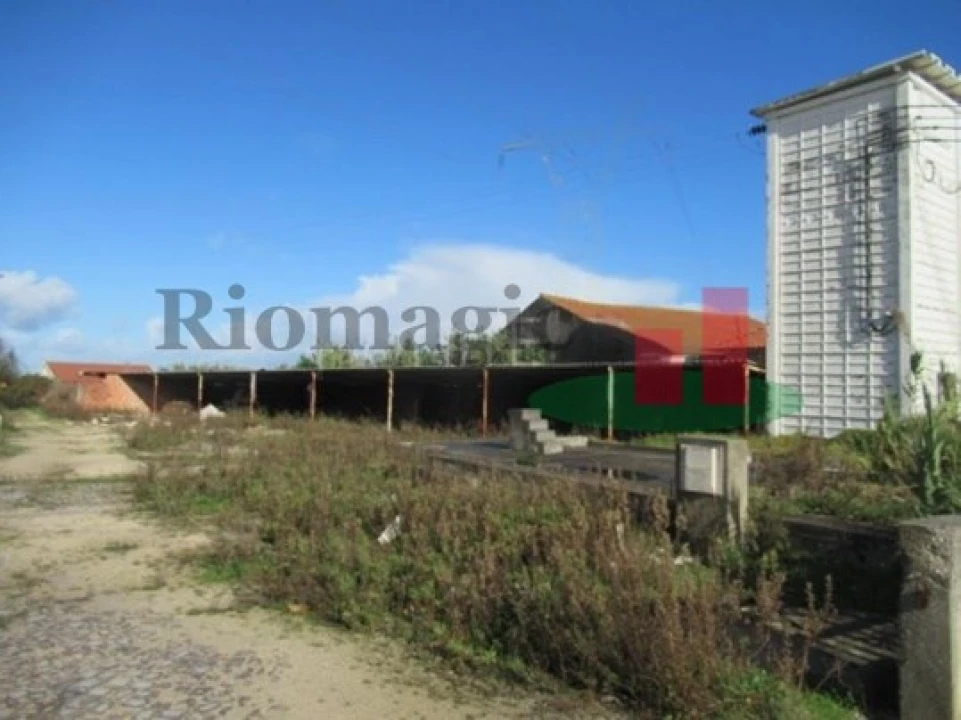 Armazém para Venda em Alcobaça e Vestiaria Foto 13