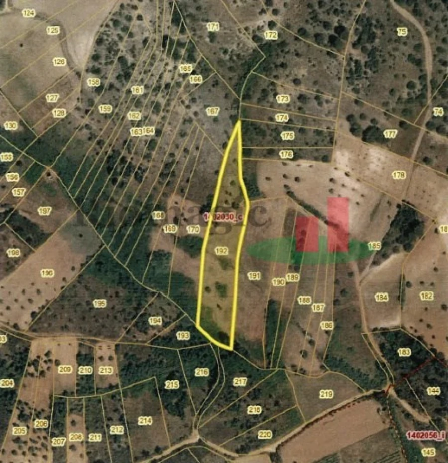 Terreno Agricola ou Rústico para Venda em Alcanena e Vila Moreira