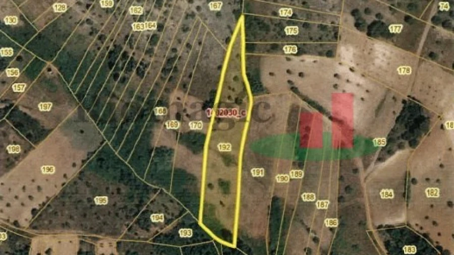 Terreno Agricola ou Rústico para Venda em Alcanena e Vila Moreira