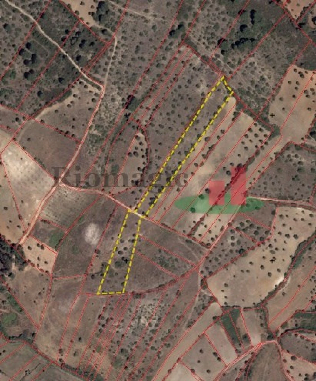 Terreno Agricola ou Rústico para Venda em Malhou, Louriceira e Espinheiro Foto 1