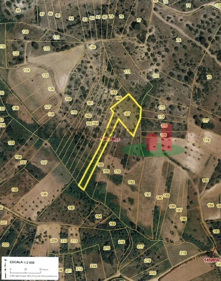 Terreno Agricola ou Rústico para Venda em Alcanena e Vila Moreira Foto 1
