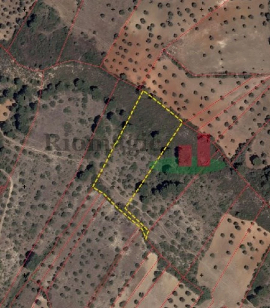 Terreno Agricola ou Rústico para Venda em Minde Foto 1