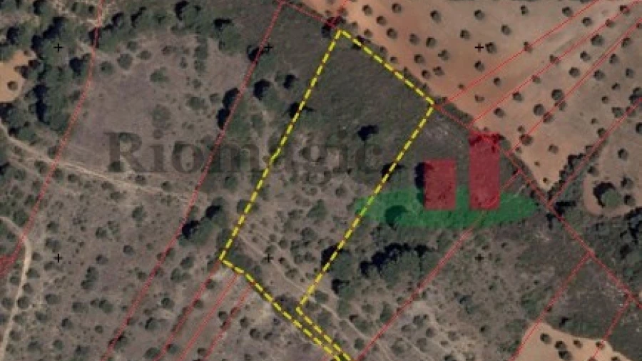 Terreno Agricola ou Rústico para Venda em Minde