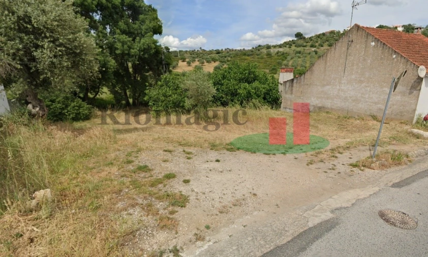 Terreno Agricola ou Rústico para Venda em Arneiro das Milhariças Foto 2
