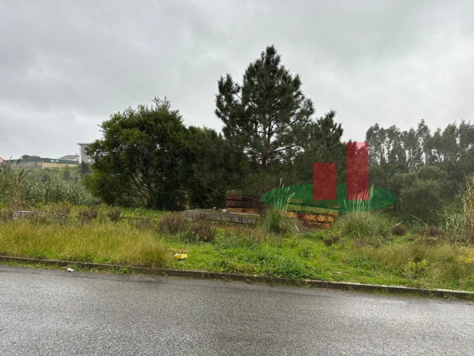 Terreno Agricola ou Rústico para Venda em Caldas da Rainha - Santo Onofre e Serra do Bouro Foto 5