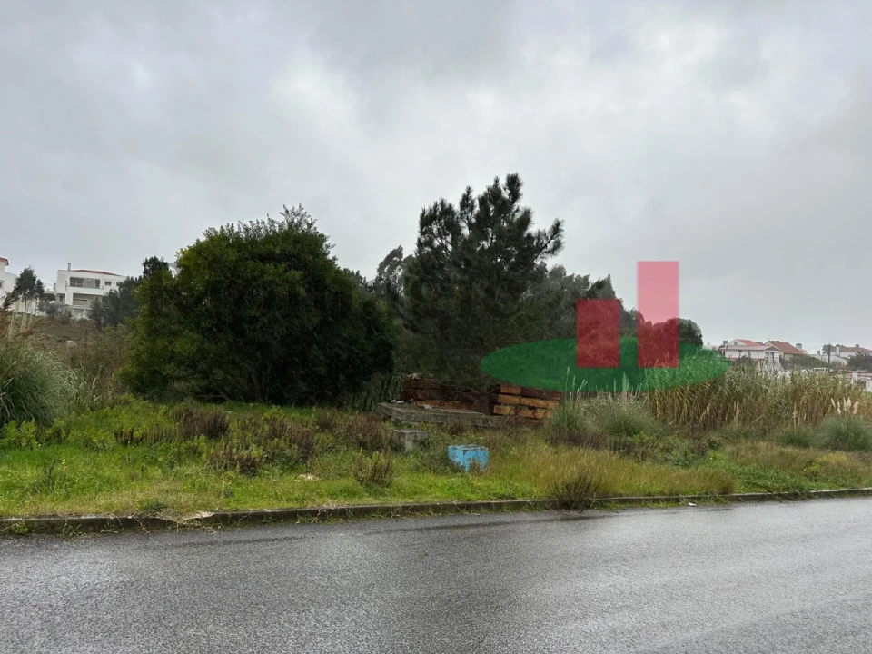 Terreno Agricola ou Rústico para Venda em Caldas da Rainha - Santo Onofre e Serra do Bouro Foto 7
