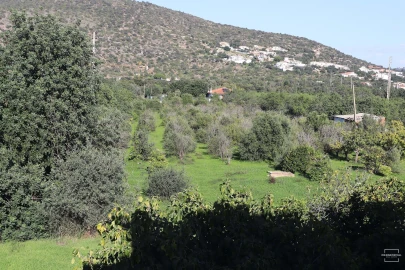 Moradia T3 para Venda em Quarteira