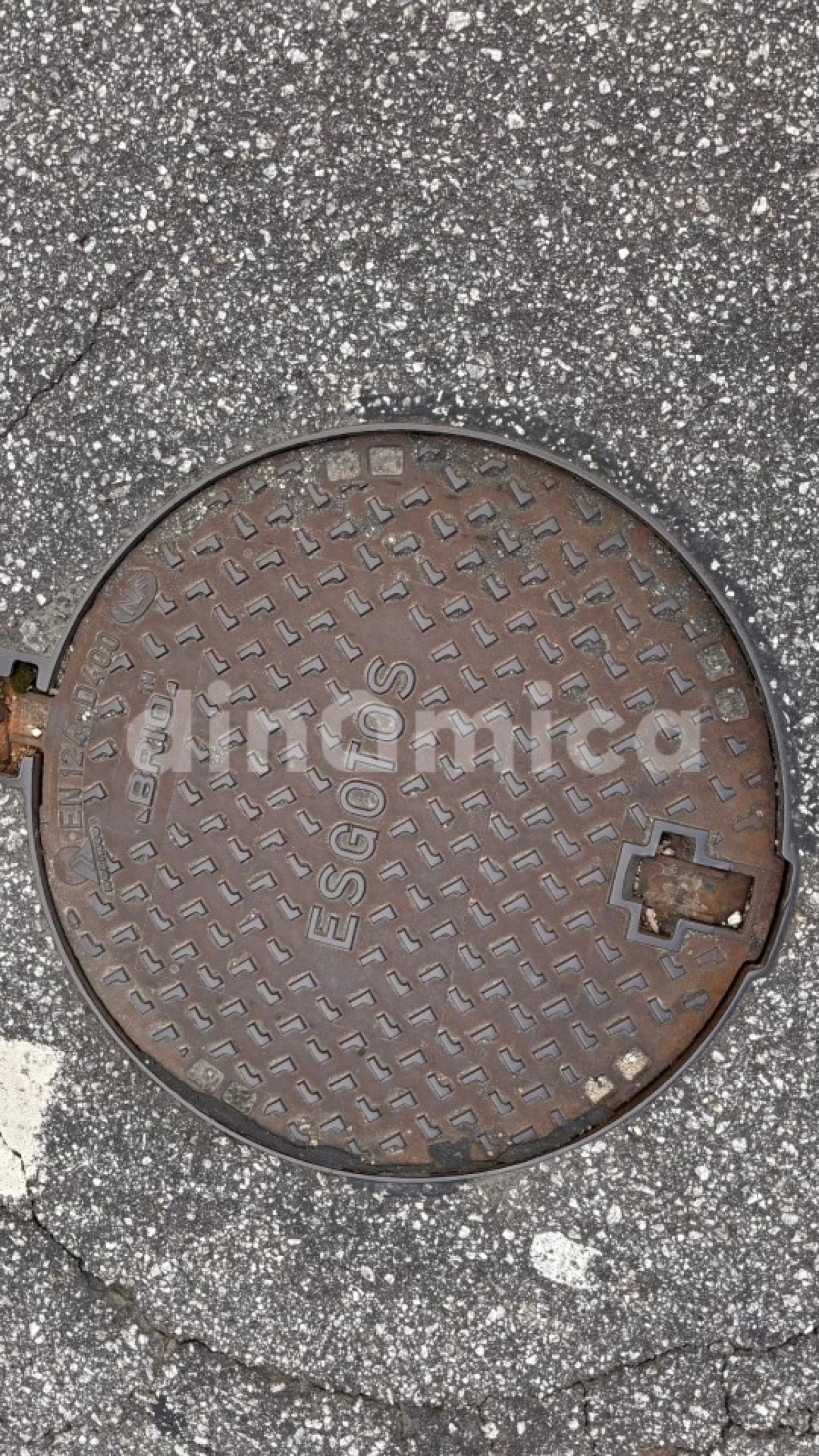 Terreno para Venda em Lomba Foto 11