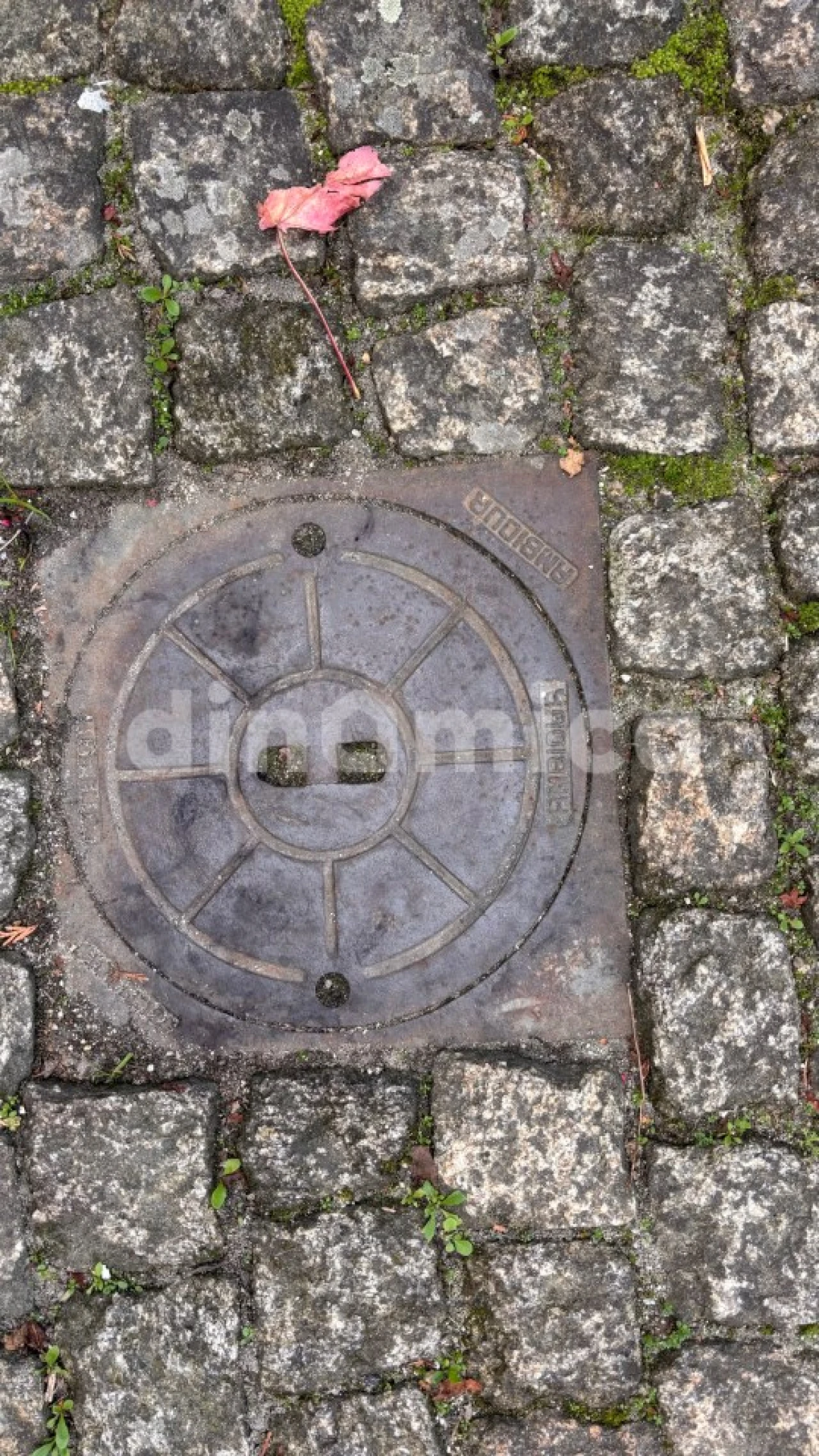 Terreno para Venda em Lomba Foto 12