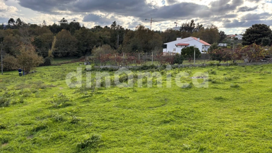 Terreno para Venda em Lomba Foto 5