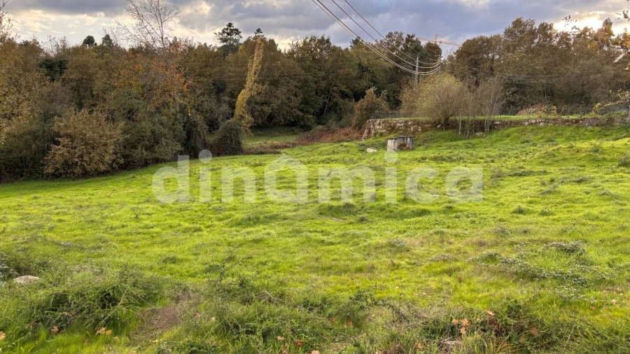 Terreno para Venda em Lomba Foto 9