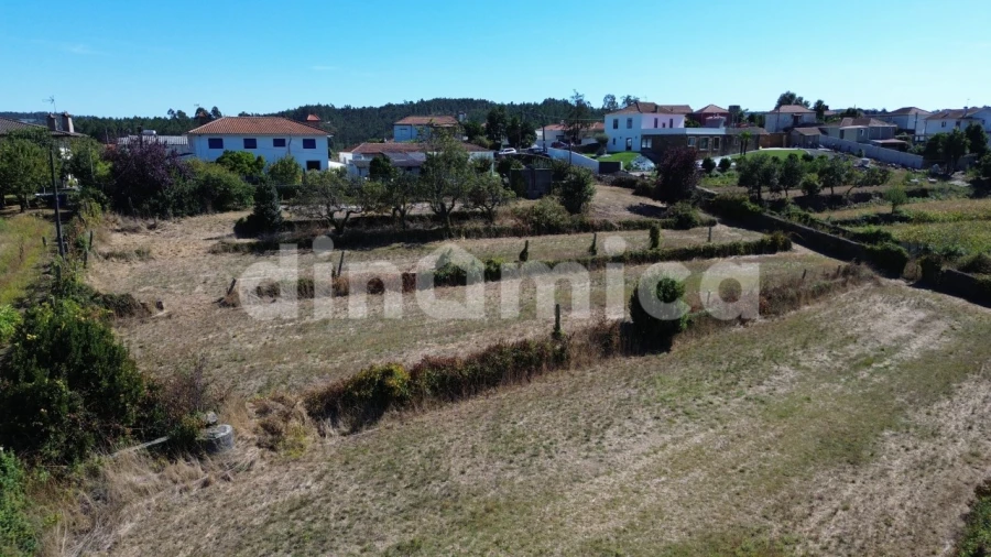 Terreno para Venda em Lousado Foto 5