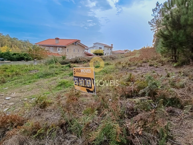 Terreno para Venda em Cristelos, Boim e Ordem Foto 5