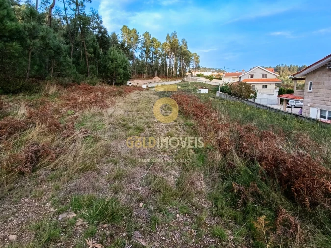 Terreno para Venda em Cristelos, Boim e Ordem Foto 6