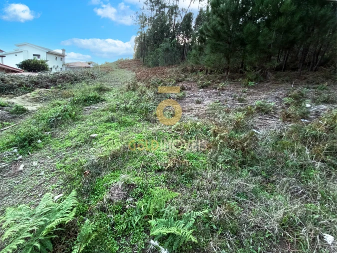 Terreno para Venda em Cristelos, Boim e Ordem Foto 7