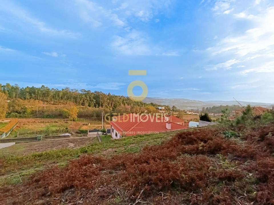 Terreno para Venda em Cristelos, Boim e Ordem Foto 2