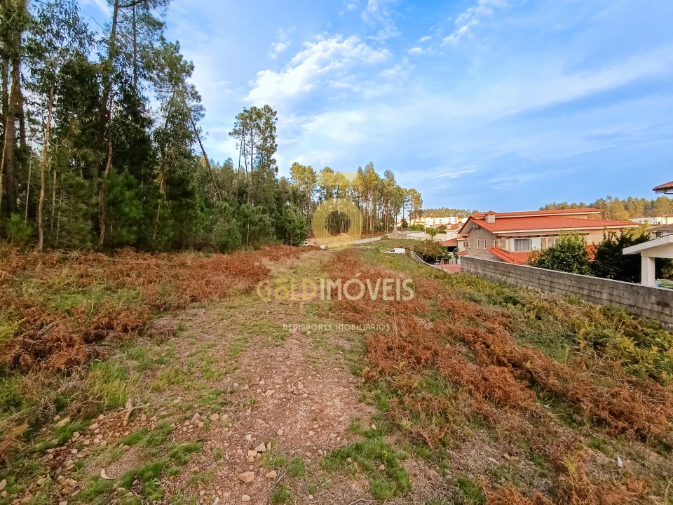 Terreno para Venda em Cristelos, Boim e Ordem Foto 1