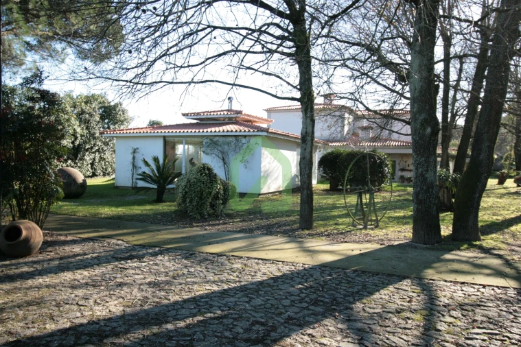 Quinta T4 para Venda em Vila Nova de Famalicão e Calendário Foto 8