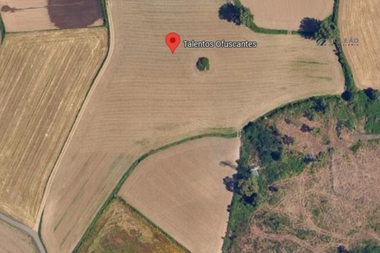 Terreno Agricola ou Rústico para Venda em Custóias, Leça do Balio e Guifões Foto 2