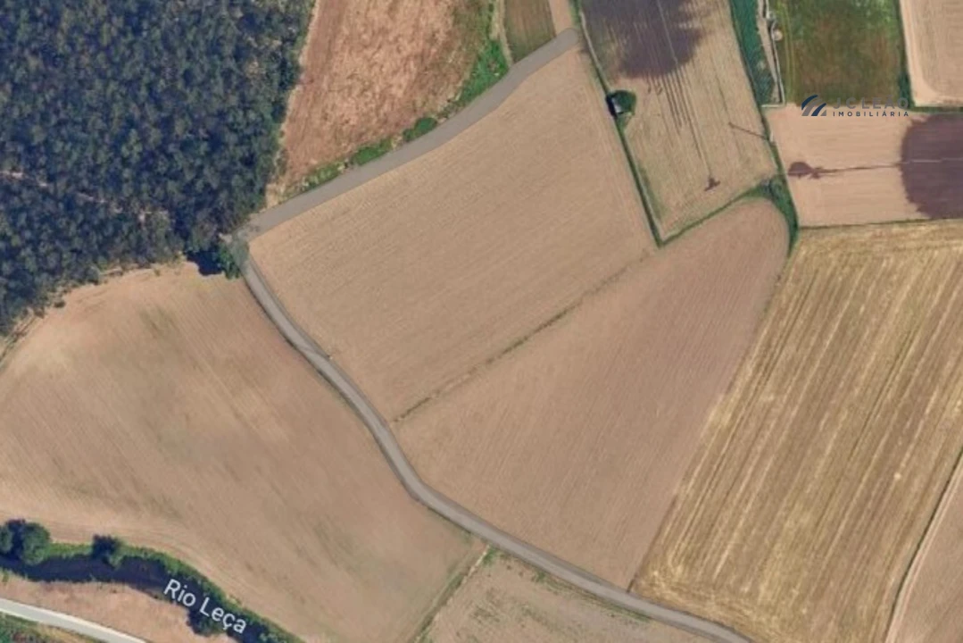 Terreno Agricola ou Rústico para Venda em Custóias, Leça do Balio e Guifões Foto 3