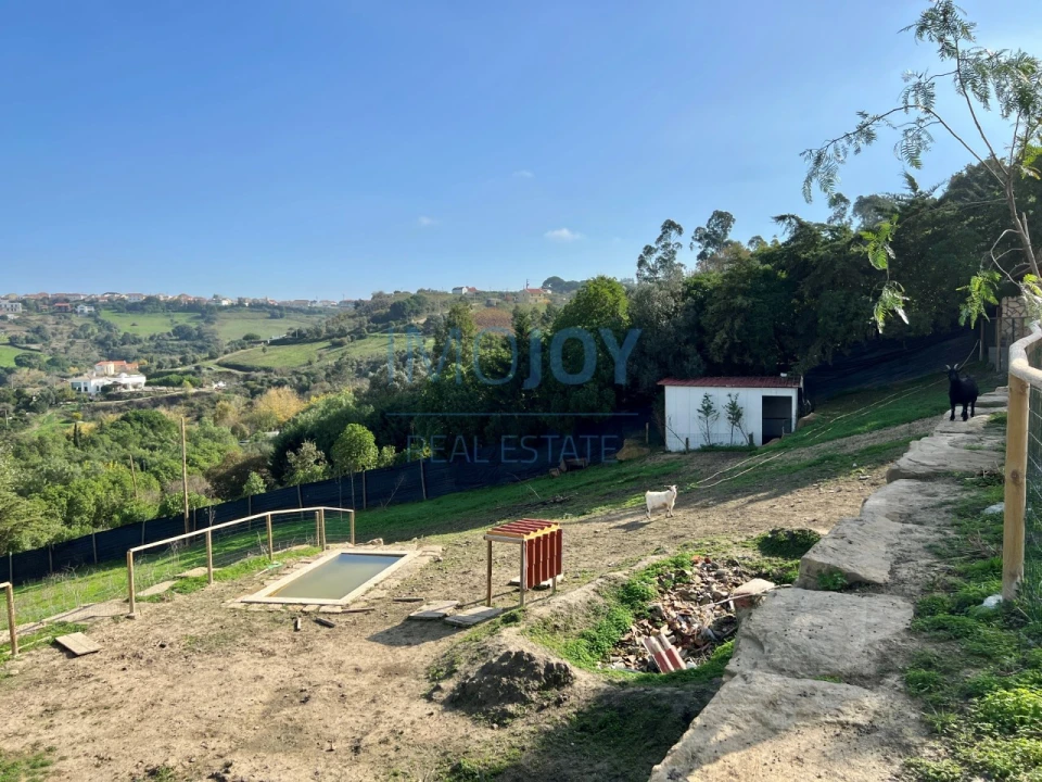 Terreno para Venda em Cardosas Foto 15