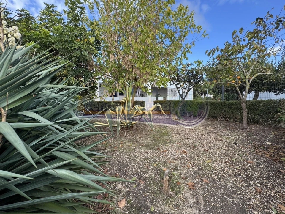 Moradia T3 para Venda em Barrosa Foto 2