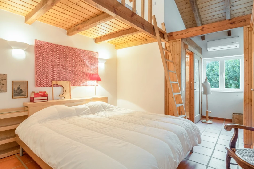 Quinta T6 para Venda em Alcaçovas Foto 17