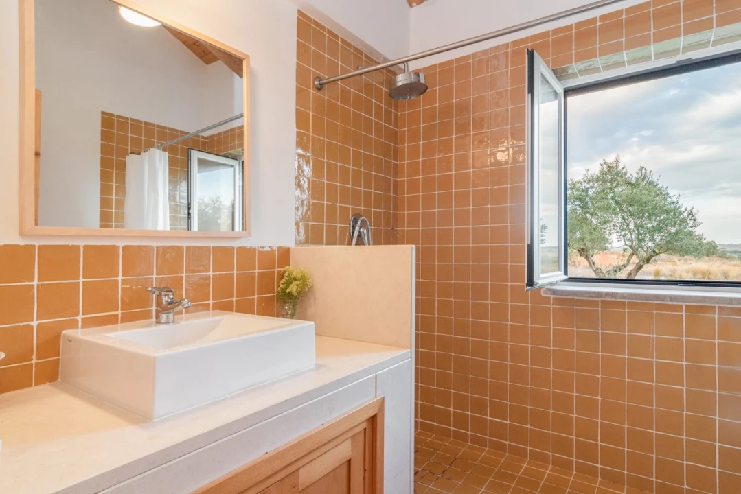 Quinta T6 para Venda em Alcaçovas Foto 28