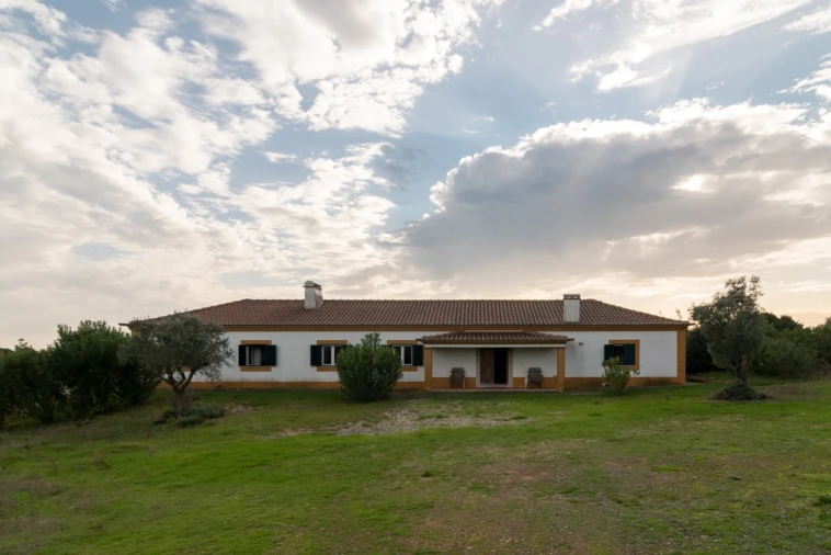 Quinta T6 para Venda em Alcaçovas Foto 11