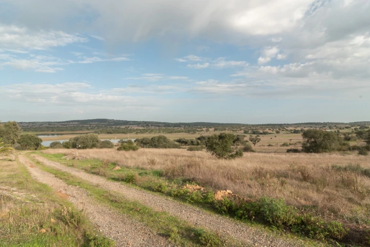 Quinta T6 para Venda em Alcaçovas Foto 33