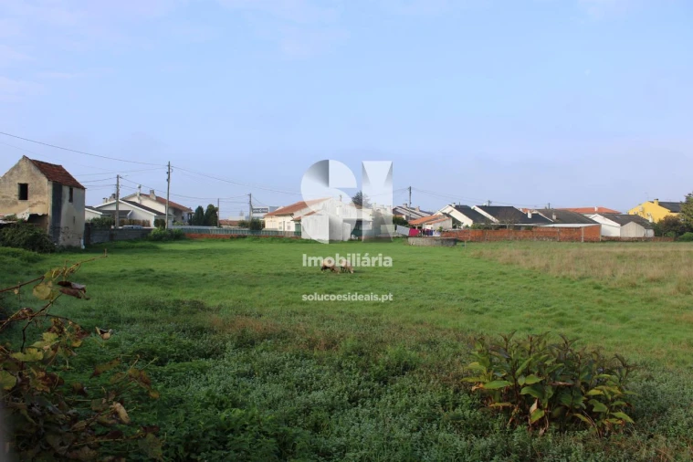 Terreno para Venda em Aradas Foto 6
