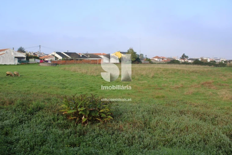 Terreno para Venda em Aradas