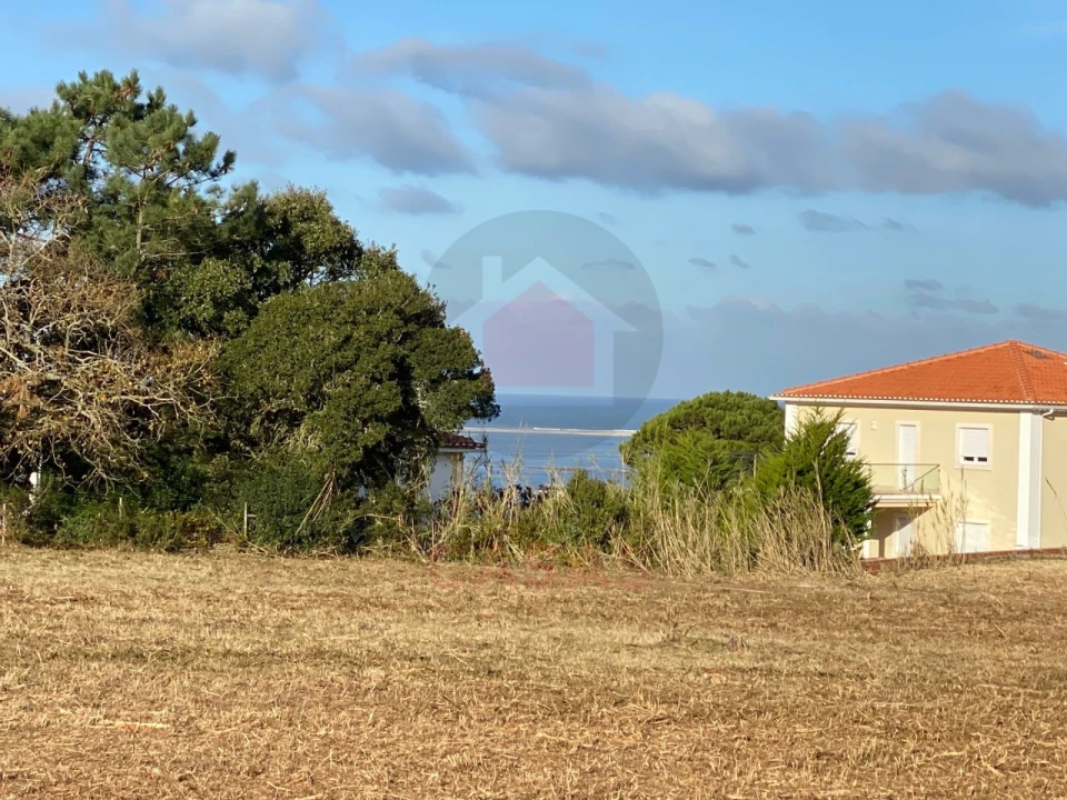 Terreno para Venda em Nadadouro Foto 4