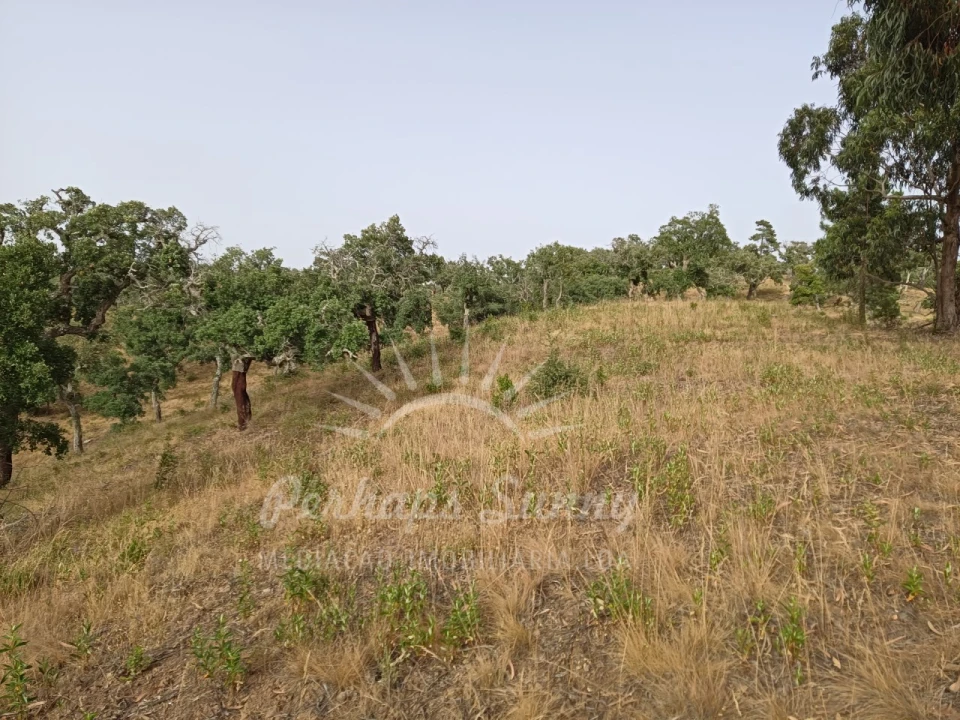 Terreno Agricola ou Rústico para Venda em Grândola e Santa Margarida da Serra Foto 6