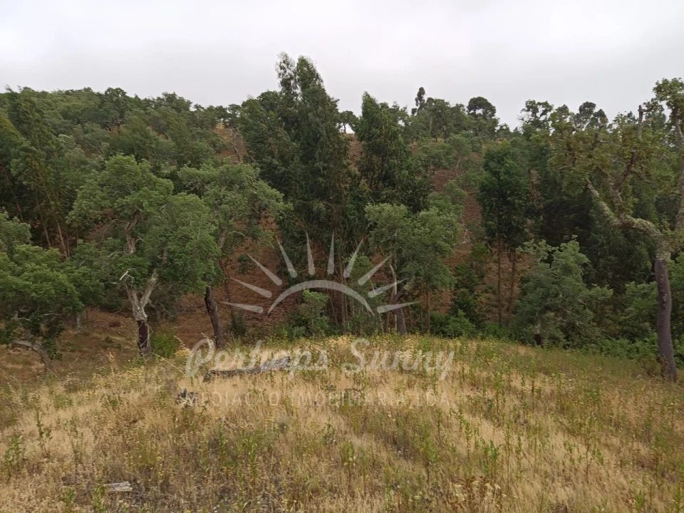 Terreno Agricola ou Rústico para Venda em Grândola e Santa Margarida da Serra Foto 9