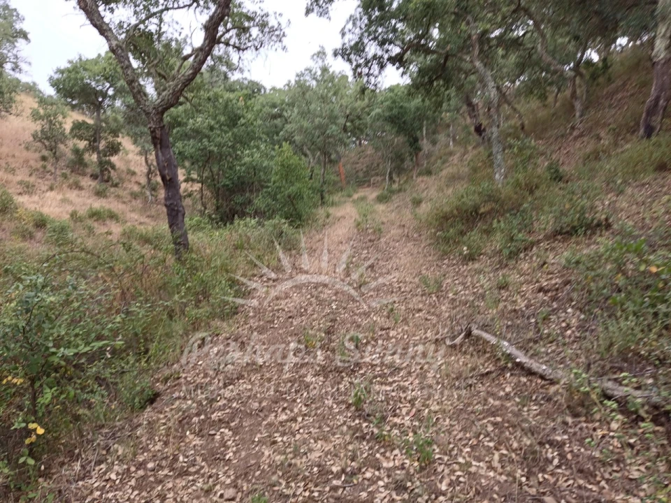 Terreno Agricola ou Rústico para Venda em Grândola e Santa Margarida da Serra Foto 21