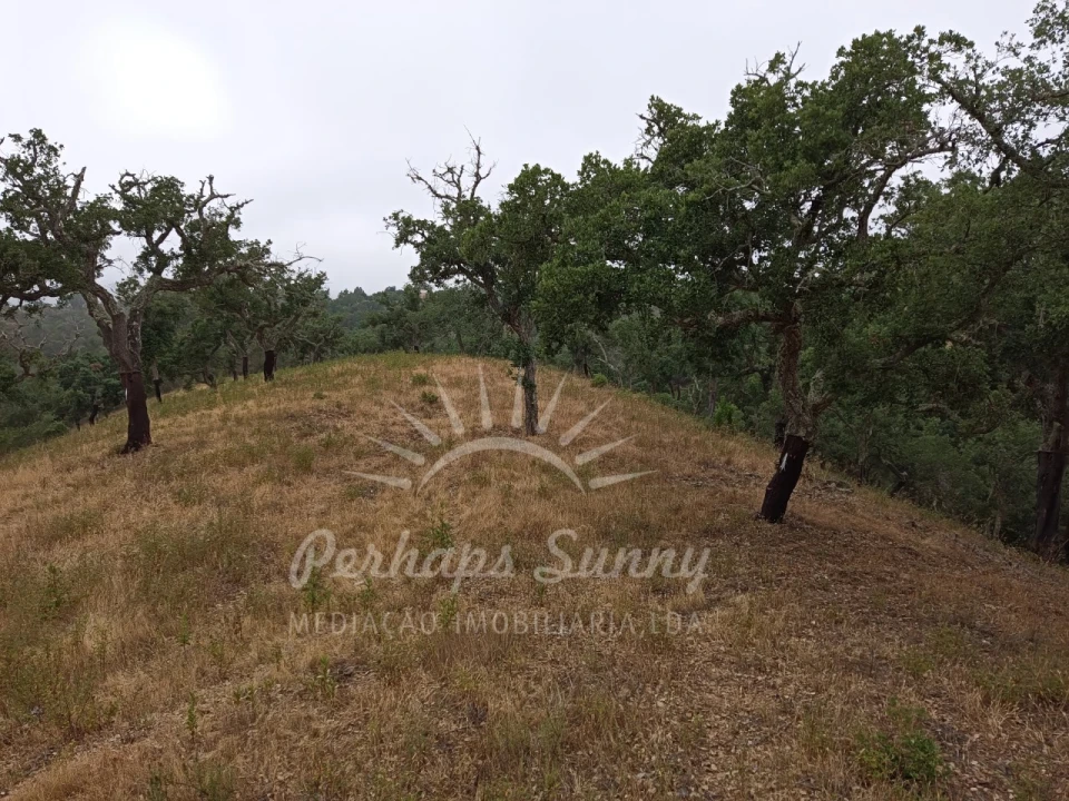 Terreno Agricola ou Rústico para Venda em Grândola e Santa Margarida da Serra Foto 23