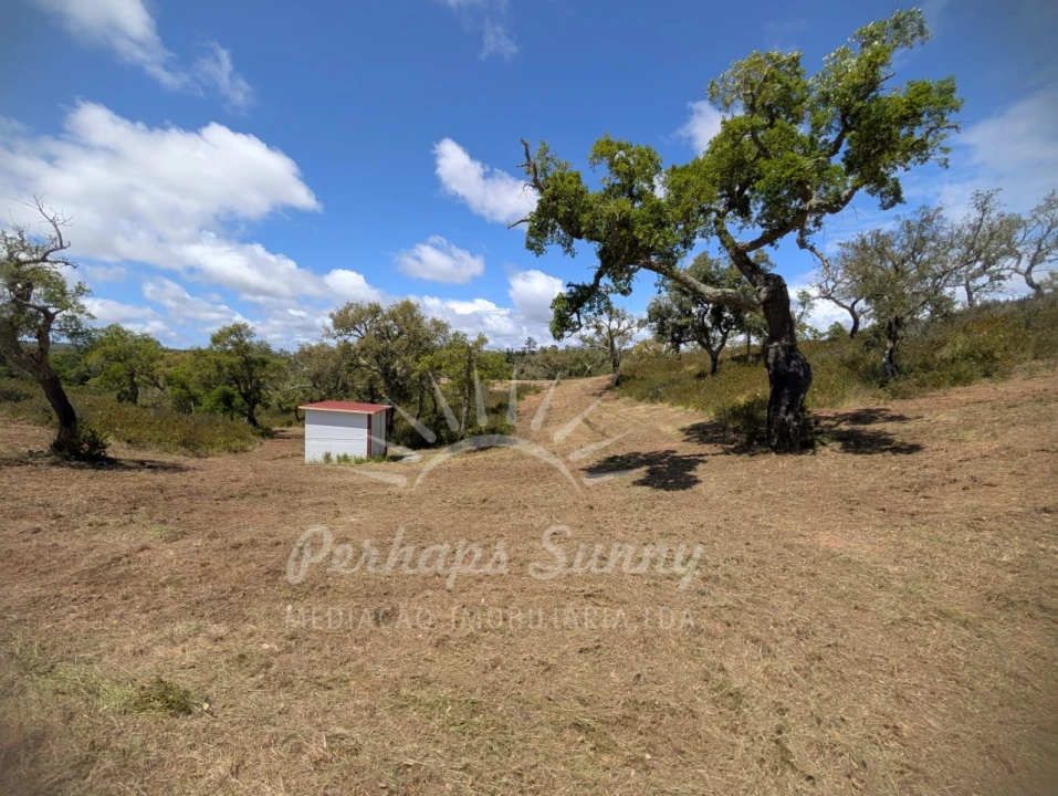 Terreno Agricola ou Rústico para Venda em Grândola e Santa Margarida da Serra Foto 2