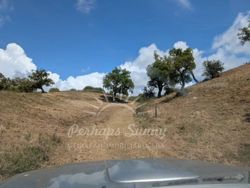 Terreno Agricola ou Rústico para Venda em Grândola e Santa Margarida da Serra Foto 4