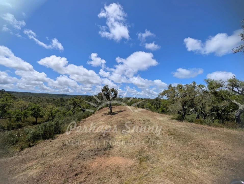 Terreno Agricola ou Rústico para Venda em Grândola e Santa Margarida da Serra Foto 14
