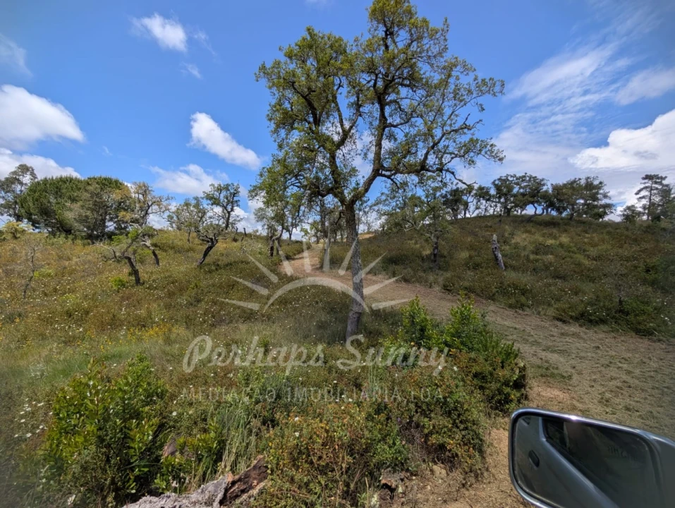 Terreno Agricola ou Rústico para Venda em Grândola e Santa Margarida da Serra Foto 15