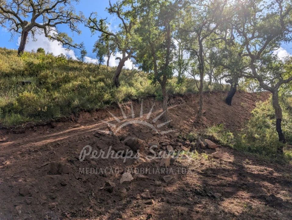 Terreno Agricola ou Rústico para Venda em Grândola e Santa Margarida da Serra Foto 16