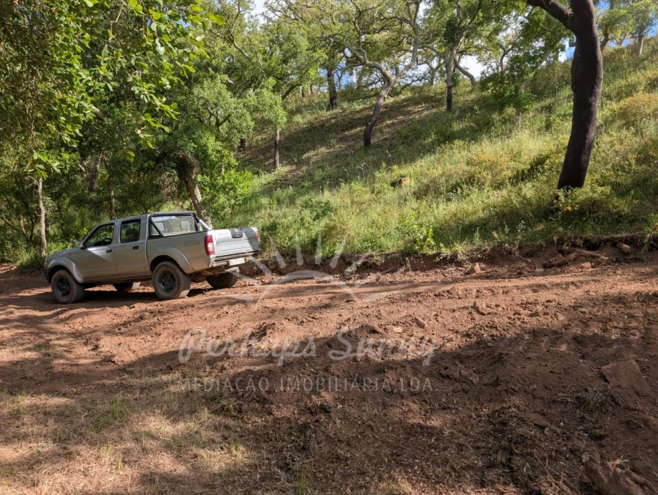 Terreno Agricola ou Rústico para Venda em Grândola e Santa Margarida da Serra Foto 26
