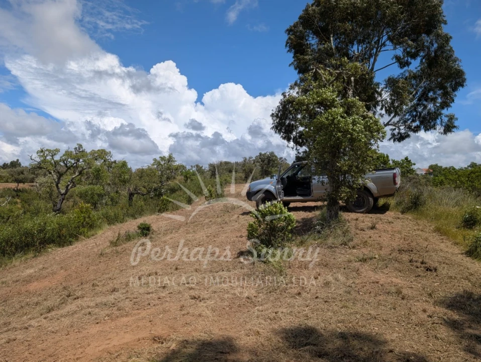 Terreno Agricola ou Rústico para Venda em Grândola e Santa Margarida da Serra Foto 29