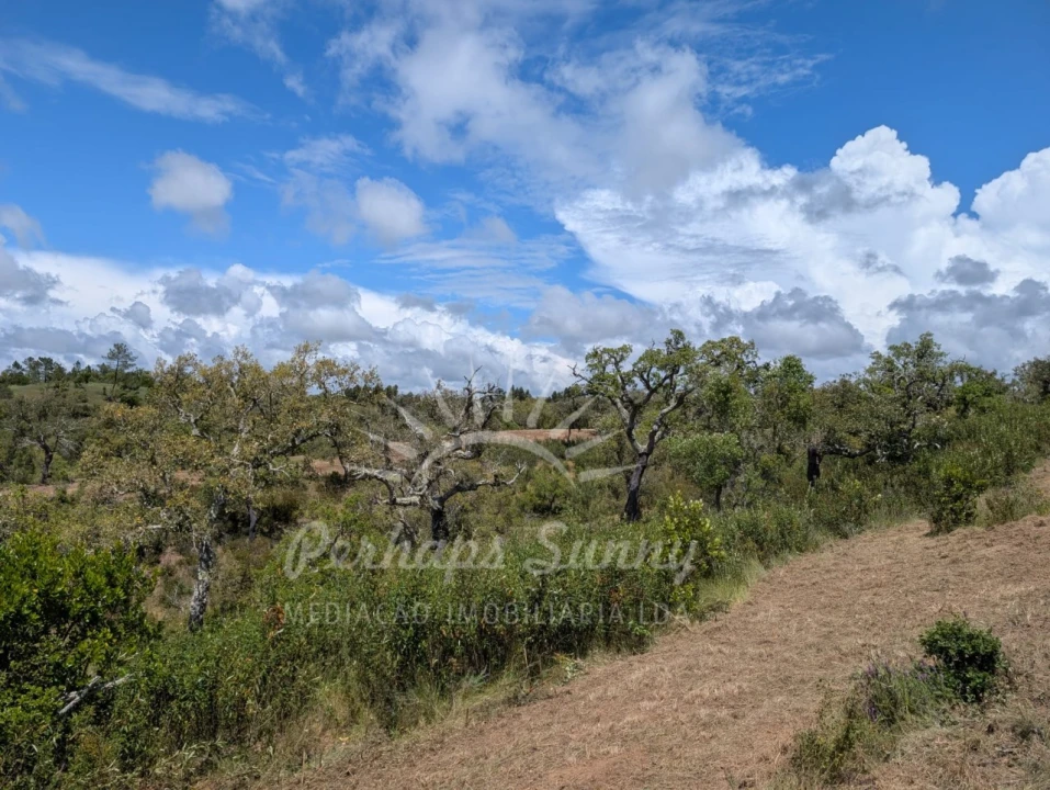 Terreno Agricola ou Rústico para Venda em Grândola e Santa Margarida da Serra Foto 30