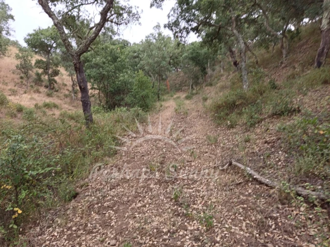Terreno Agricola ou Rústico para Venda em Grândola e Santa Margarida da Serra Foto 21