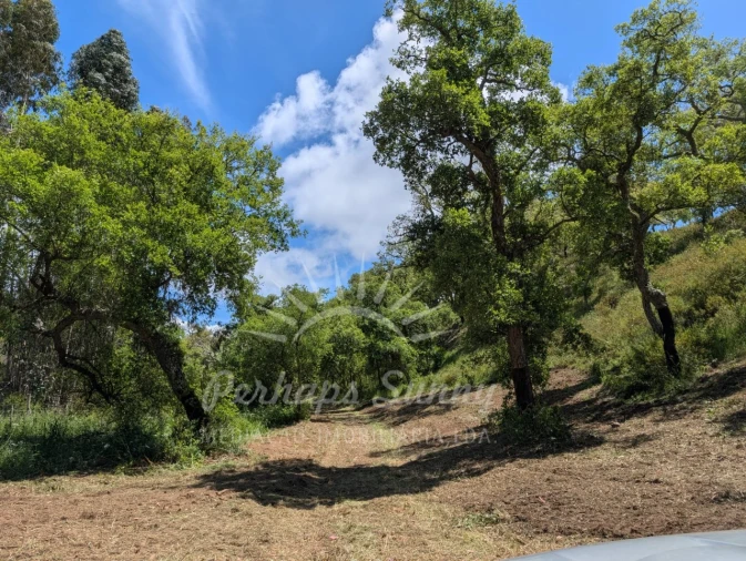 Terreno Agricola ou Rústico para Venda em Grândola e Santa Margarida da Serra Foto 12